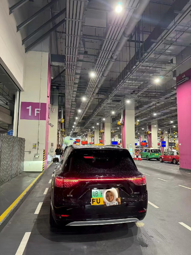 香港验车案例