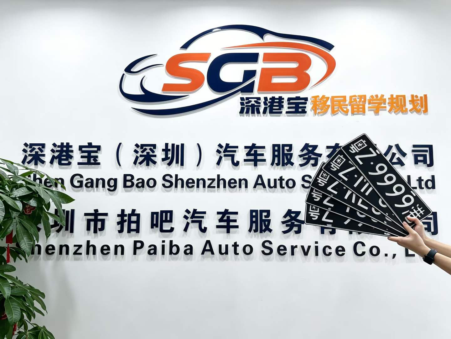 粤Z车牌办理