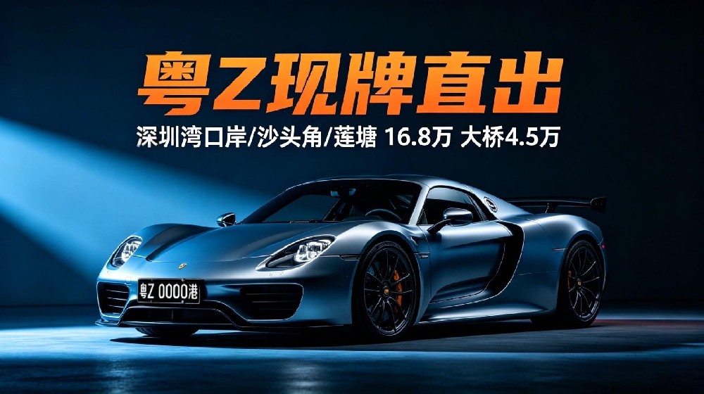 粤Z现牌直出案例